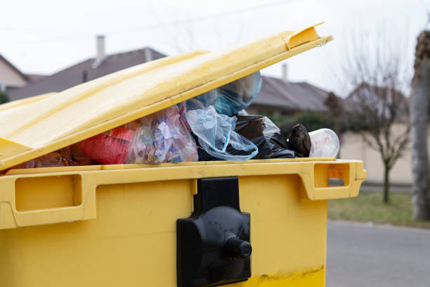 Recycling Services for Junk in Johnstonville, CA